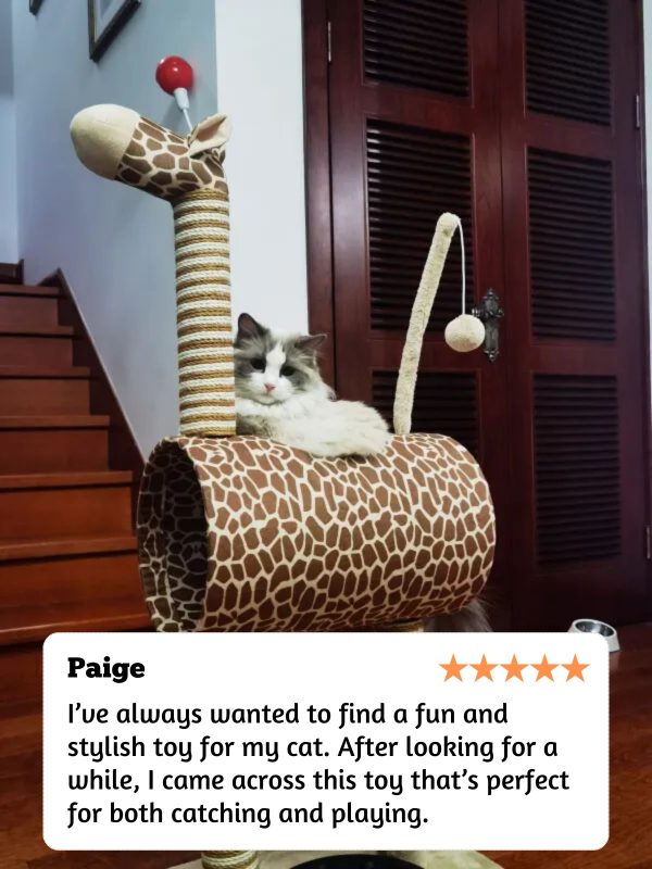 Customer Reviews 10 | Cat Shop | SH7.COM